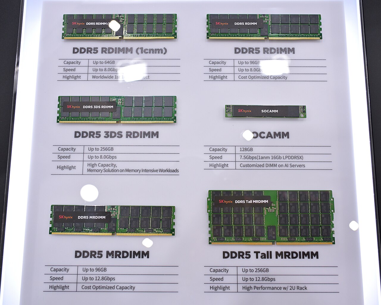 Computex 2025의 SK hynix 전시품. DDR5 RDIMM·3DS RDIMM·MRDIMM·Tall MRDIMM과 LPDDR5X 기반 SOCAMM을 함께 보여 준다. 외형과 같은 전시 공간이 전기적 호환성을 뜻하지는 않는다.